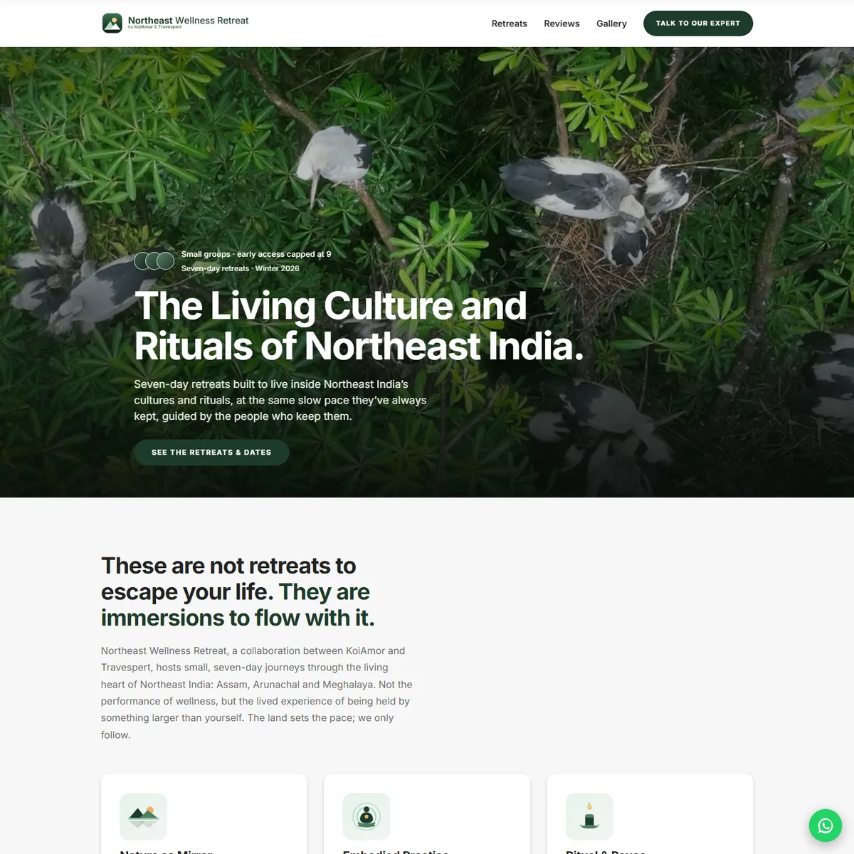 Northeast Wellness Retreat screenshot